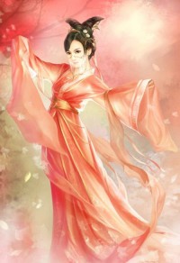 穿越女尊之妻凭夫贵